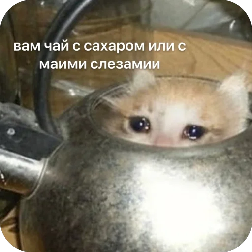 Sticker PopIt688 - 1