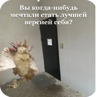 Sticker Поп ит - 2