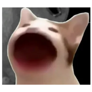 Sticker Поп кет - 3