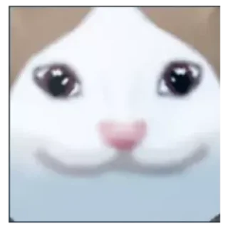 Sticker Поп кет - 1