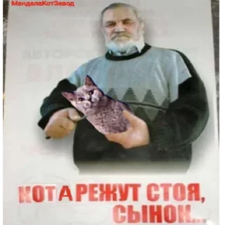 Стикер Писькапрус - 0