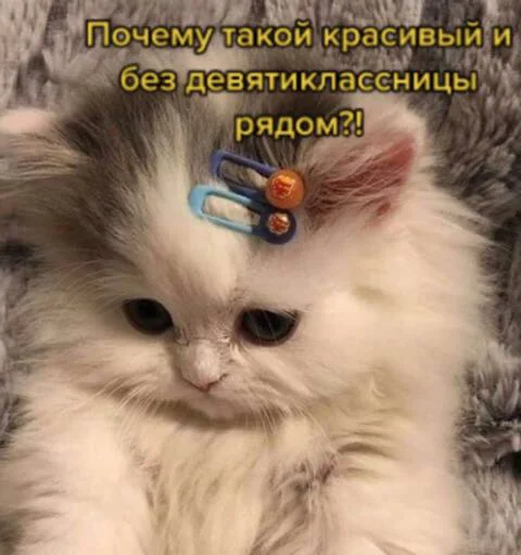 Sticker Бебра - 6