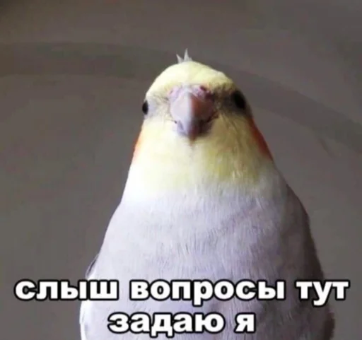 Sticker Бебра - 1