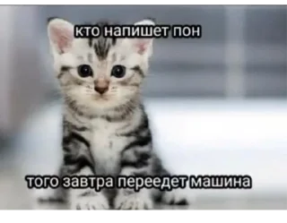 Стикер Я гей2 - 1