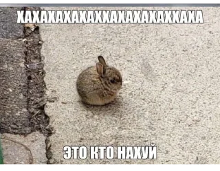 Стикер Я гей2 - 2