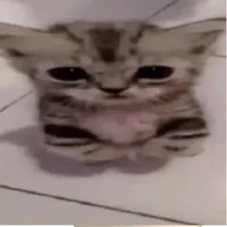 Стикер Я гей2 - 6