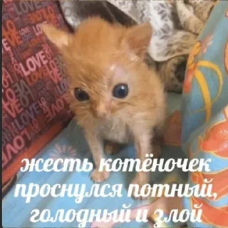 Стикер Я гей2 - 0