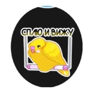 Sticker Попуга - 9