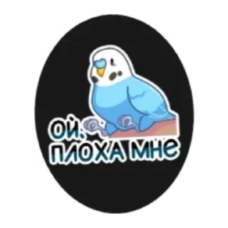 Sticker Попуга - 4