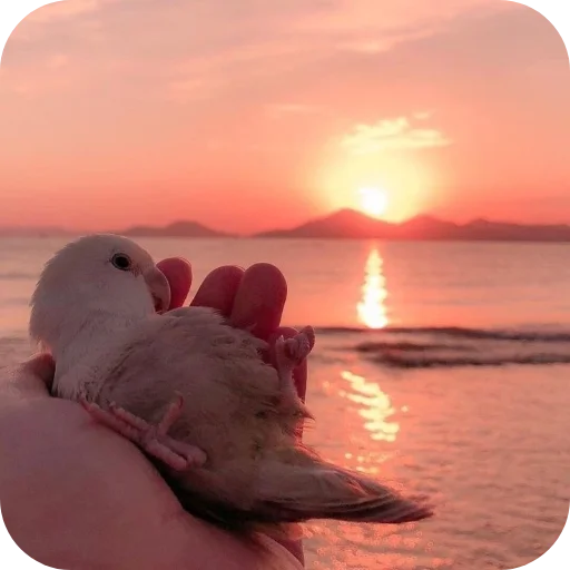 Стикер PopugaiTheMythic333 - 1