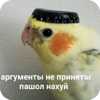Стикер Попугаи @TheMythic333 - 3