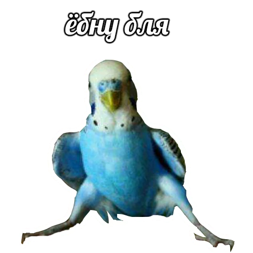 СМС искусство мультфильм