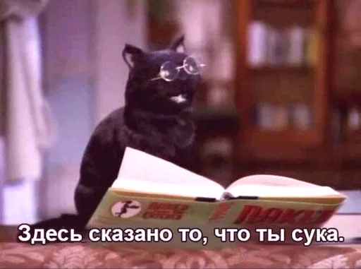 small to medium-sized cats text book