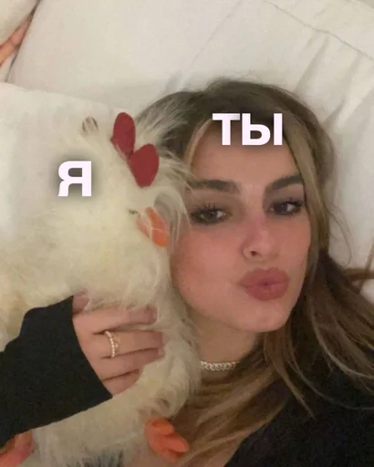 Человек человеческое лицо комнатный