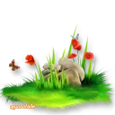 Sticker Parvaneh & gol - 5