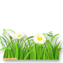 Sticker Parvaneh & gol - 7