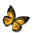 Sticker Parvaneh & gol - 3