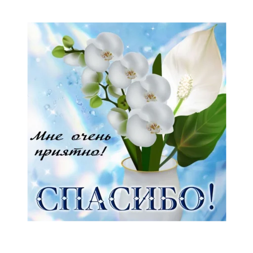 СМС растение цветок