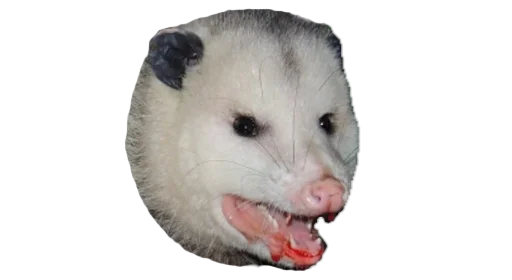 Стикер PossumStyle - 1