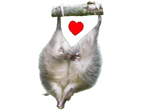 Sticker PossumStyle - 1