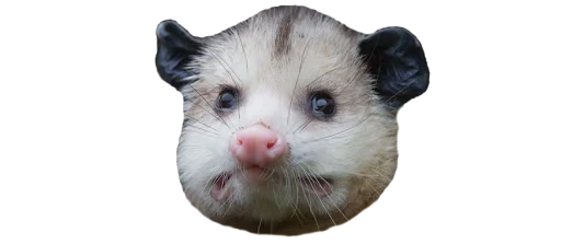 Sticker PossumStyle - 1