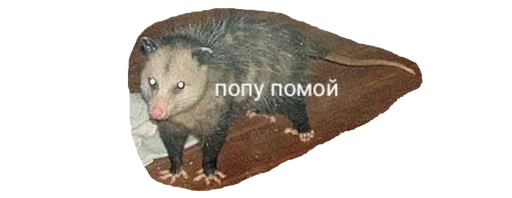 Sticker PossumStyle - 1