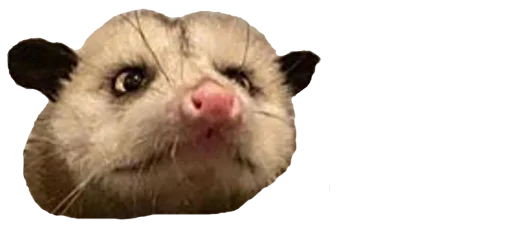 Sticker PossumStyle - 1
