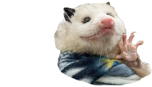 Sticker PossumStyle - 1