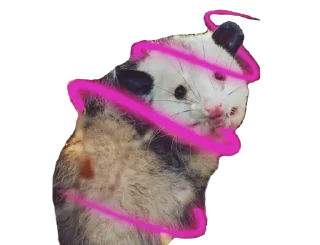 Sticker Possum style - 6