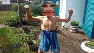 Sticker PoStIrOnIa - 1