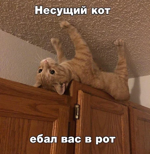 Стикер Postironiya by @fStikBot - 11