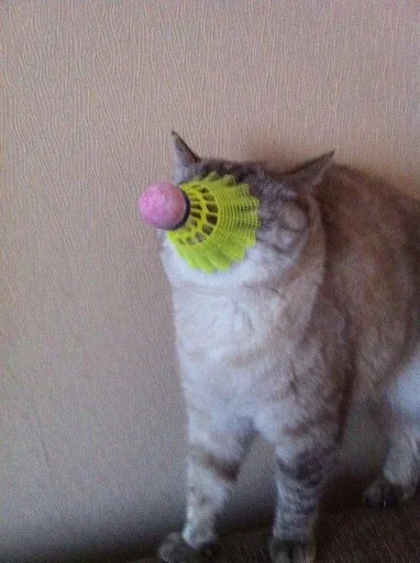 Стикер Postironiya by @fStikBot - 5