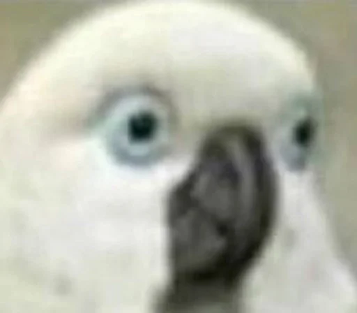 Стикер Postironiya by @fStikBot - 2