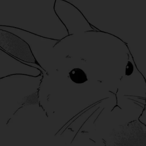 эскиз животное кролик