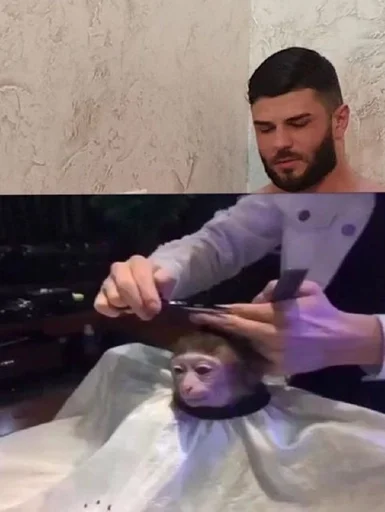 Человек человеческое лицо одежда