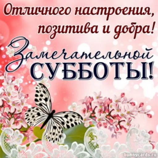 text butterfly moths and butterflies