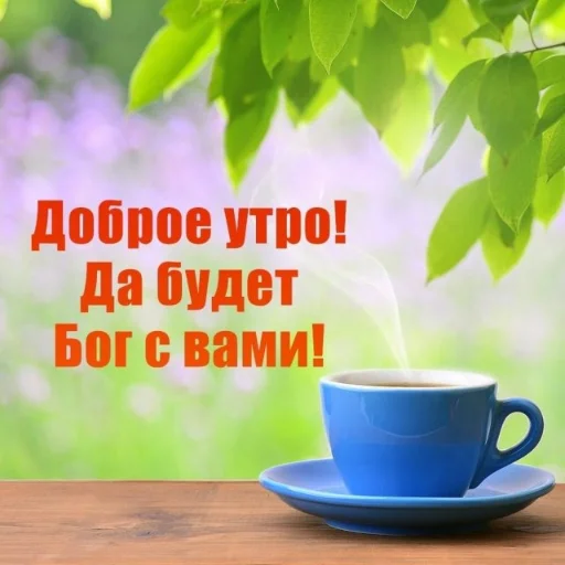 coffee cup serveware saucer