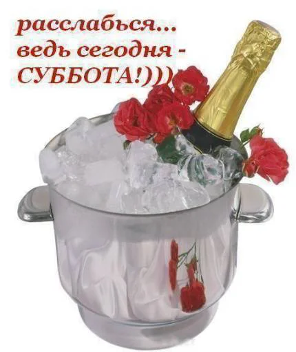 bucket container flower