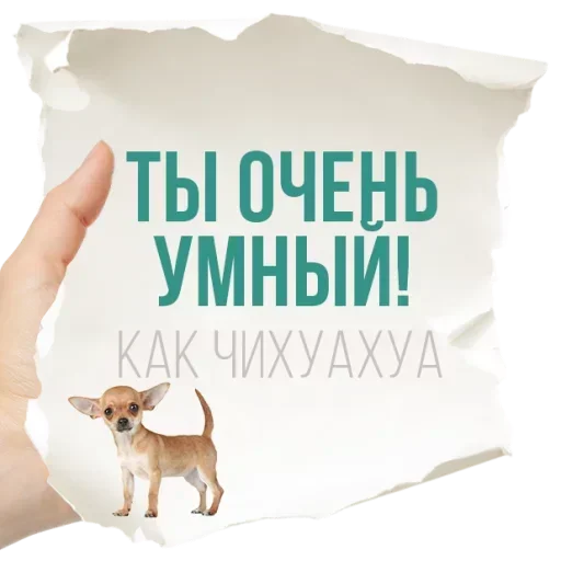 Sticker PpMPnVpSjNabRvaz_by_stickers_stealer_bot - 1