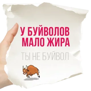 Sticker Стикеры👉 @stikeru7777 - 5