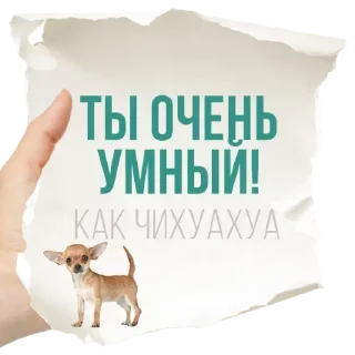 Sticker Стикеры👉 @stikeru7777 - 0