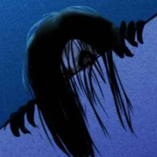 animal invertebrate marine invertebrates