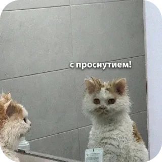 Sticker На разные случаи) 🤓🙌 - 11
