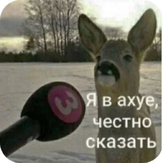 Sticker На разные случаи) 🤓🙌 - 9