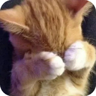 Sticker На разные случаи) 🤓🙌 - 4