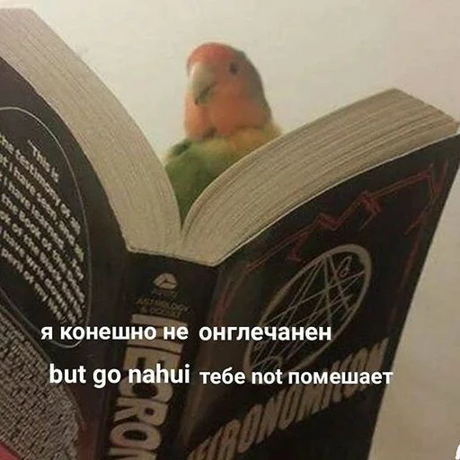 СМС человеческое лицо книга