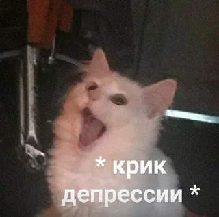 Стикер Больше стикеров: @sticerru - 6