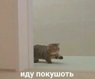 Стикер Больше стикеров: @sticerru - 1