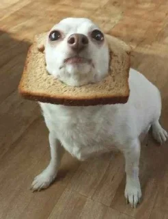 Стикер Больше стикеров: @sticerru - 7