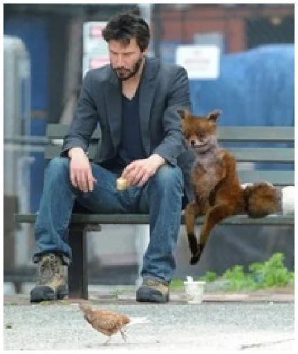 Стикер Prafsha - 1